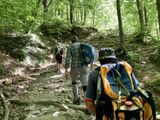 In Cammino boschi camaldoli trekking