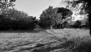 La natura vince