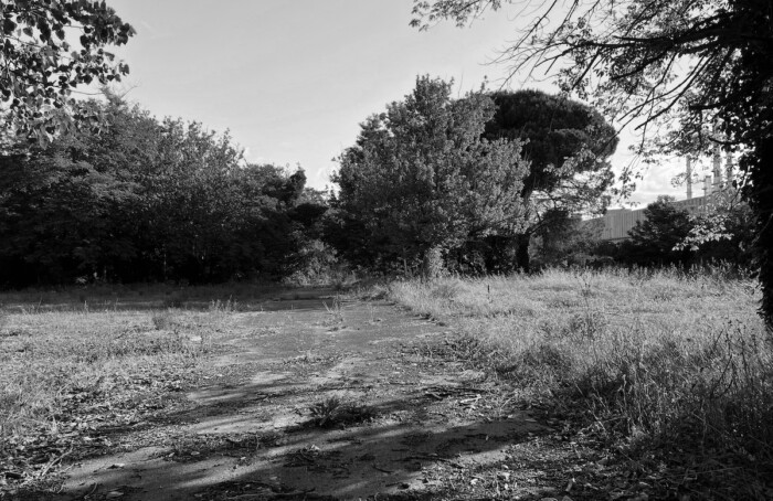 La natura vince