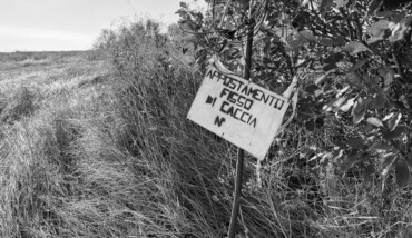 In caccia