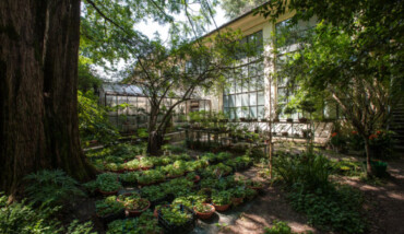 Orto Botanico Parma 