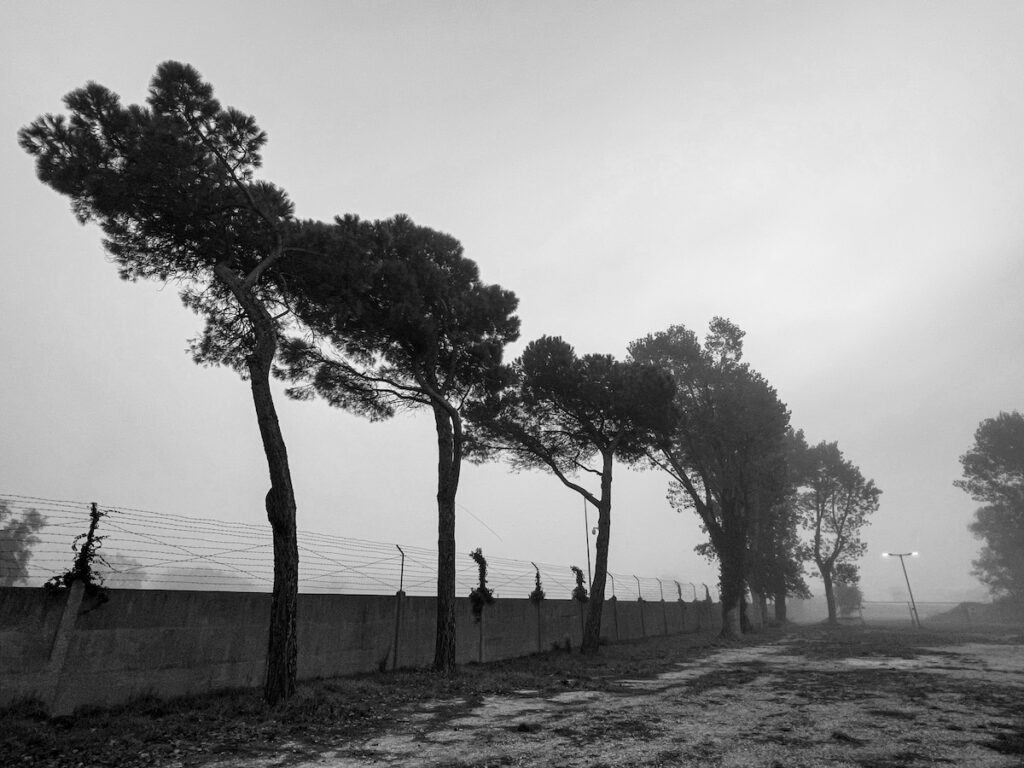 Tutto si ripete