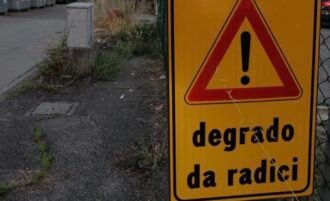 Degrado Radici