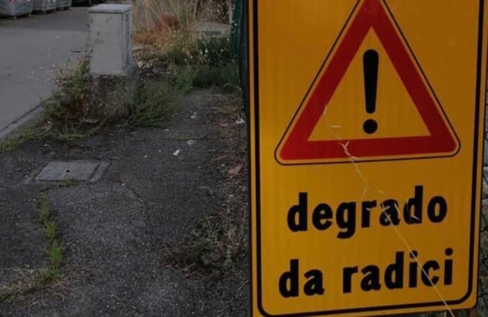 Degrado Radici