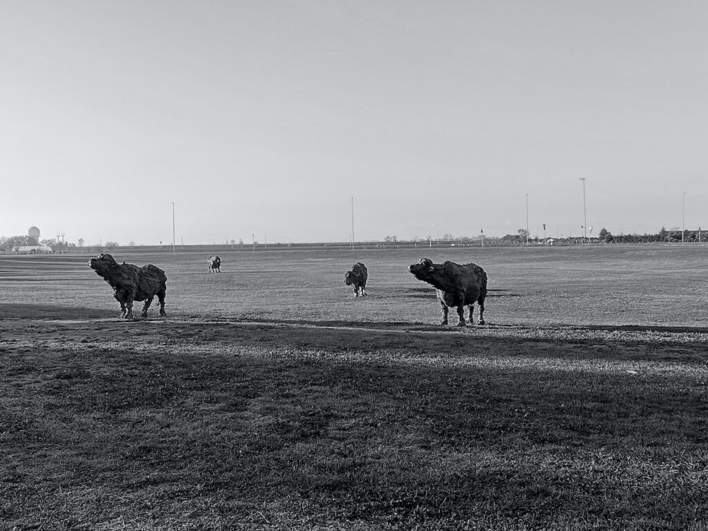 Studi sul paesaggio