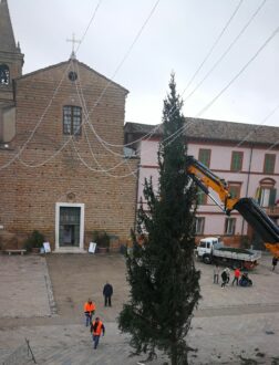 Albero Natale 1
