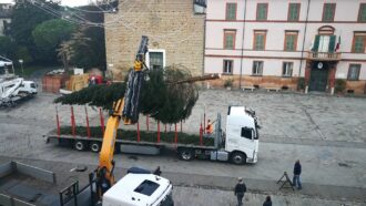 Albero Natale 3