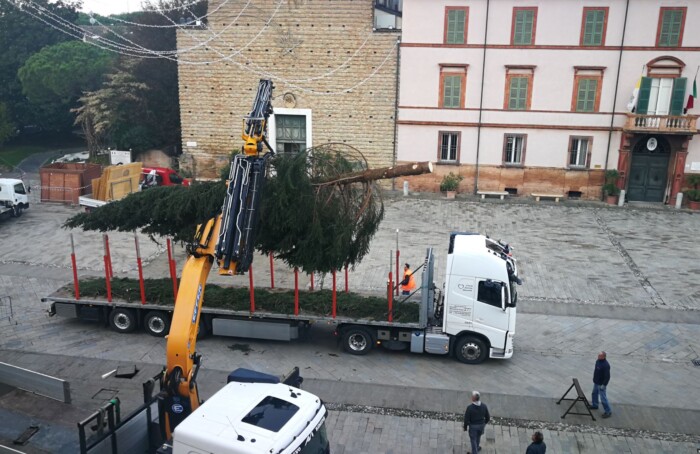 Albero Natale 3
