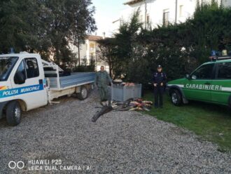 22 12 02 Operazione Antibracconaggio Ittico 2