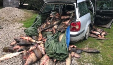 22 12 02 Operazione Antibracconaggio Ittico
