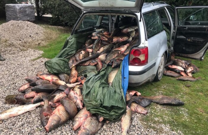 22 12 02 Operazione Antibracconaggio Ittico