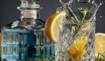 Gin Speralcolico