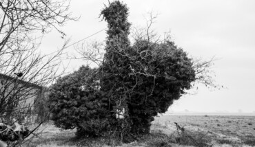 Racconti d'osservazione