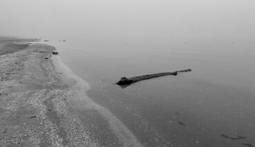 Apnea