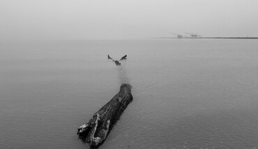 Apnea