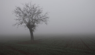 Nebbia Campagna Inverno