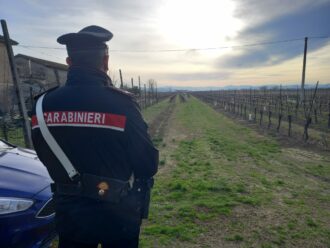 carabinieri omicidio frutteto castel bolognese