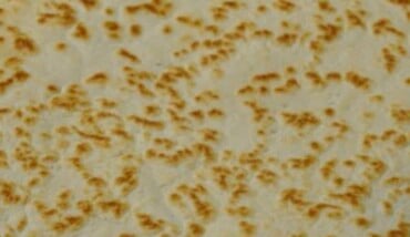 Piadina