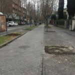 Alberi Abbattuti Viali Della Stazione (foto 1)