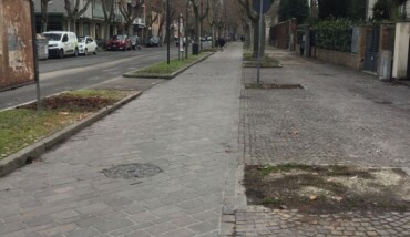 Alberi Abbattuti Viali Della Stazione (foto 1)