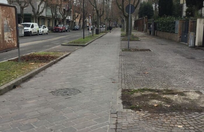 Alberi Abbattuti Viali Della Stazione (foto 1)