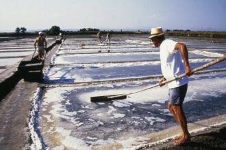 Antica Salina Camillone, Cervia (RA), Fonte Portale I Luoghi Del Cuore