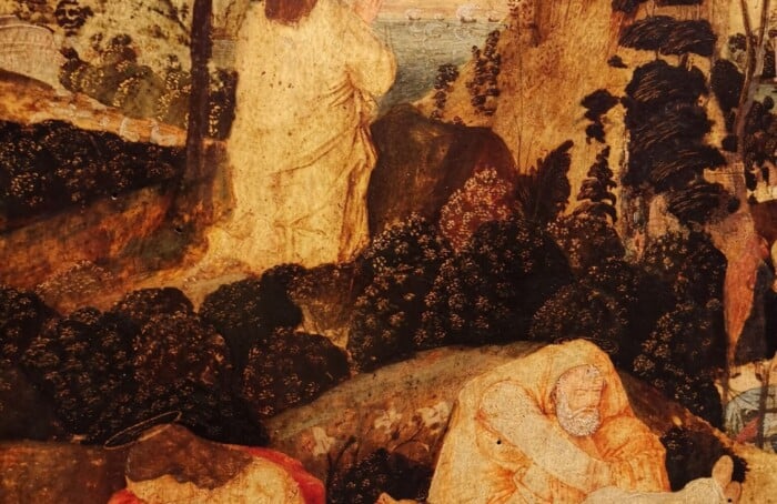 Zaganelli 4