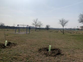 Eco Alberi