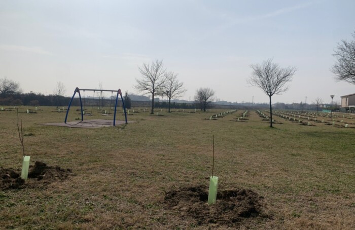 Eco Alberi