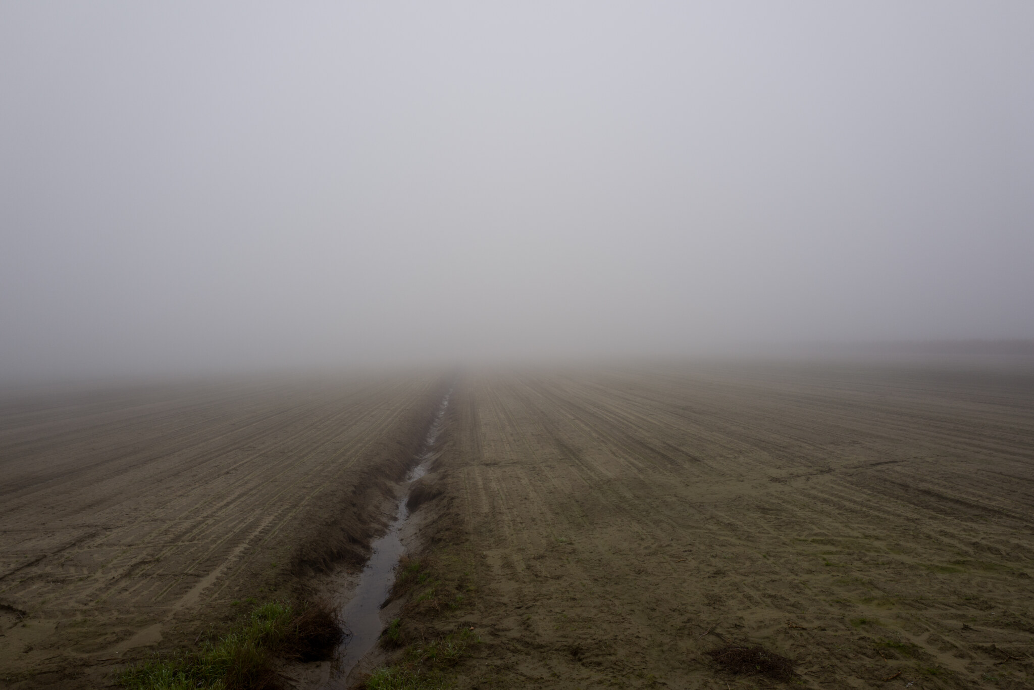 Nebbia, foto di Adriano Zanni