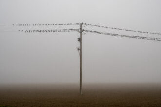 Nebbia, foto di Adriano Zanni