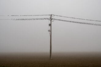 Nebbia, foto di Adriano Zanni