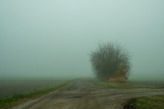 Nebbia foto di Adriano Zanni
