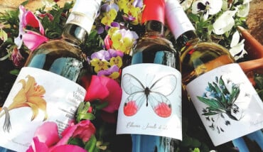 Azienda Valpiani Vini