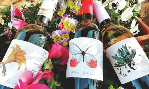 Azienda Valpiani Vini