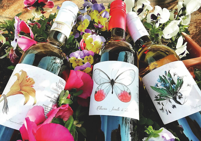 Azienda Valpiani Vini