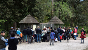 Parco Naturale Cervia
