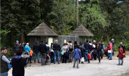 Parco Naturale Cervia