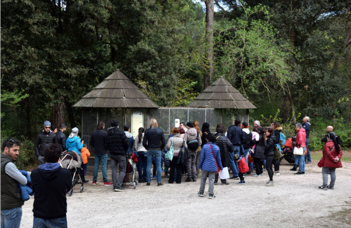 Parco Naturale Cervia