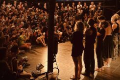 Circo Paniko al Pavaglione: spettacoli, acrobazie e musica
