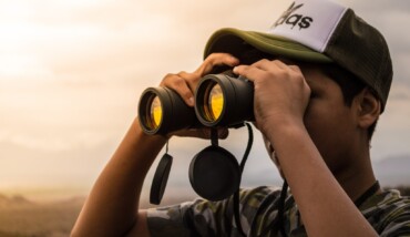 Pexels Francis Seura 802412