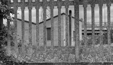 Grigio e forme