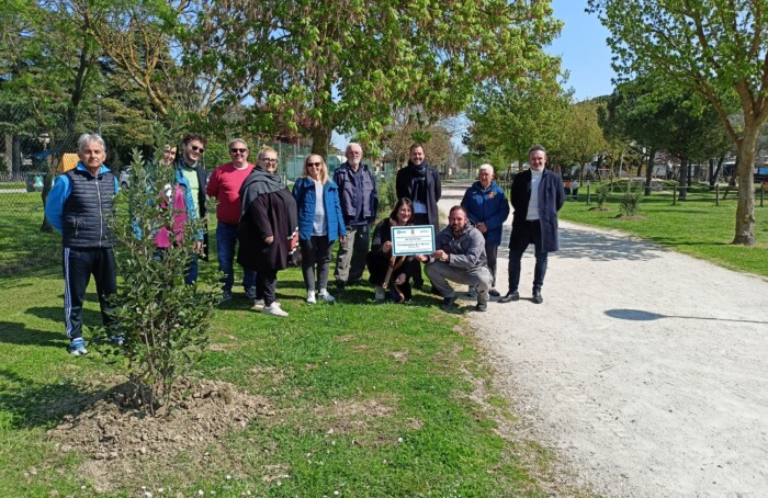 Piantumazione Lecci Ponte Nuovo 2