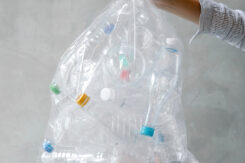 Rifiuti Differenziata Plastica