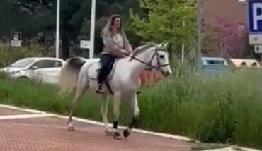 Tabita Gurioli Lavoro Cavallo
