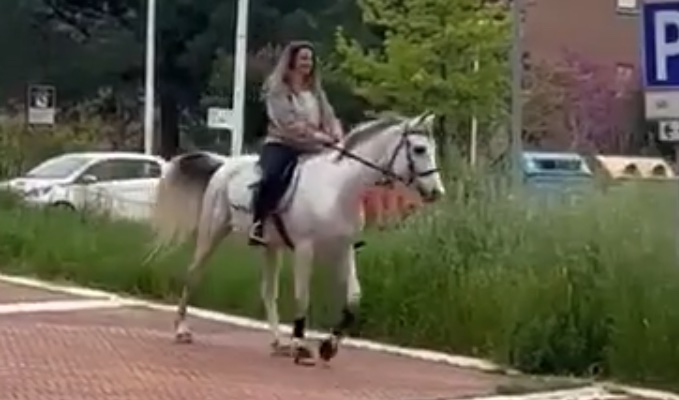 Tabita Gurioli Lavoro Cavallo