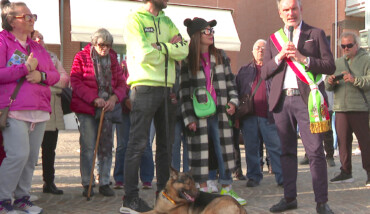 Cane Marley Cittadinanza Marina Di Ravenna