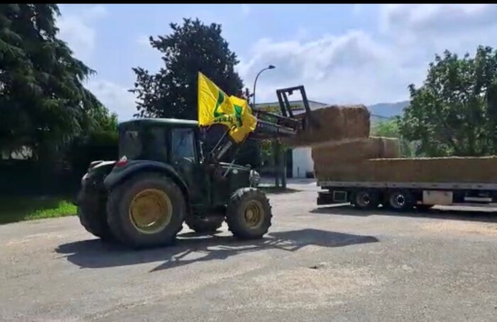 Consegna Foraggio Casola