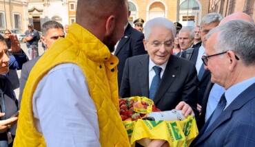 Consegna Prodotti A Mattarella
