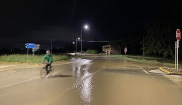IMG 9690